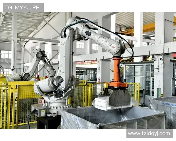 橡胶制品的创新与应用：从基础材料到高科技产业的全面发展解析