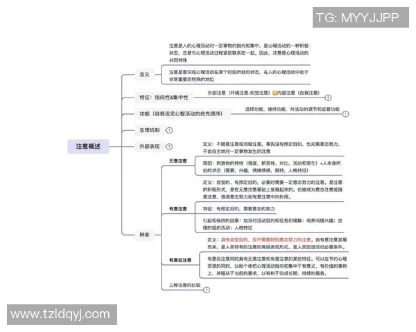 运动心理学视角下运动员心理调适策略与表现优化研究