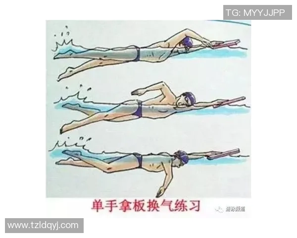 提升自由泳技巧与体能训练的全方位课程计划与实践指导