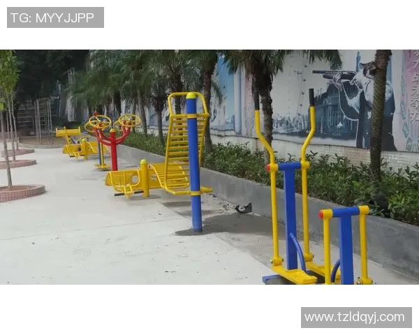 西安户外健身器材:西安地区户外健身器材的使用与市场需求 西安户外健身器材:西安地区户外健身器材的使用与市场需求