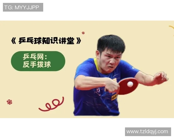 乒乓球新手必看:轻松掌握配合技巧的入门指南与训练建议 乒乓球新手必看:轻松掌握配合技巧的入门指南与训练建议