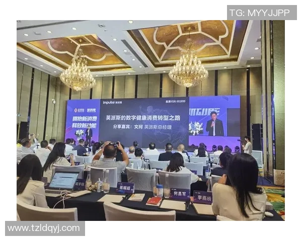南京篮球队转型之路的挑战与机遇全景分析精英赛特别报道