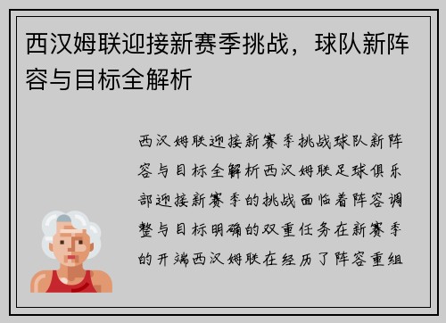 西汉姆联迎接新赛季挑战，球队新阵容与目标全解析
